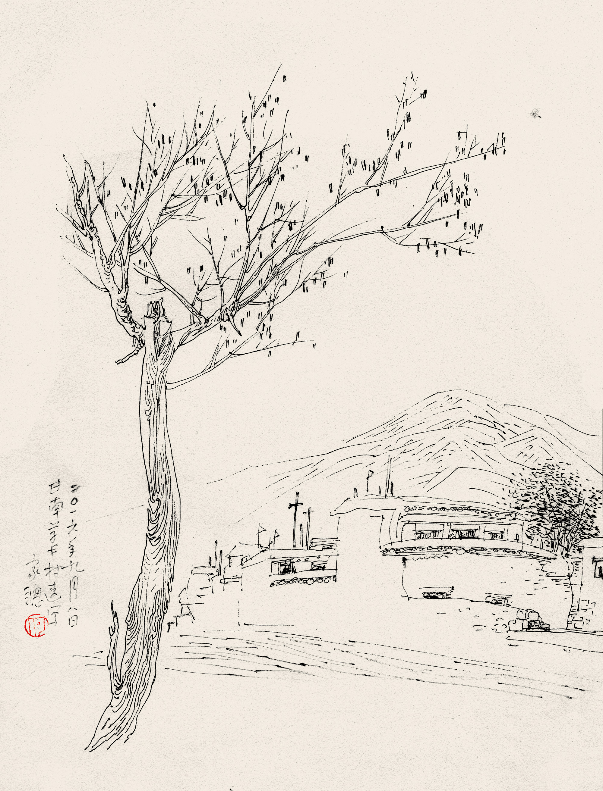 羰дݿ